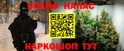 бошки Дубна