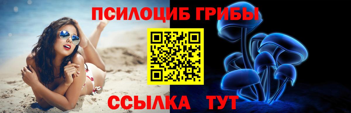 Гай  Псилоцибиновые грибы мухоморы  Псилоцибиновые грибы Psilocybe  Вход с VPN 