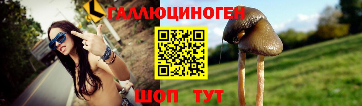 Псилоцибиновые грибы прущие грибы Гай