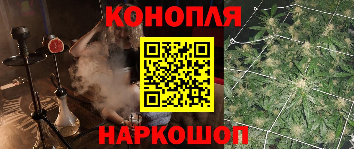 Марихуана Amnesia  Конопля ГИДРОПОН  Марихуана марихуана  Гай  Шишки марихуана планчик 